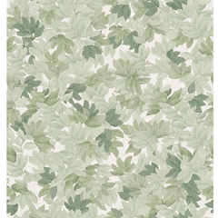 Mural Wallpaper Tree Canopy - Walls and Ceilings