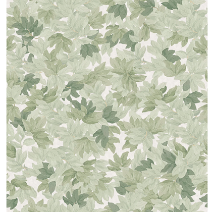 Mural Wallpaper Tree Canopy - Walls and Ceilings