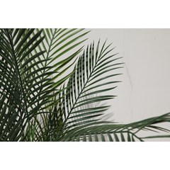 Green Palm Tree in Black Pot - H145cm