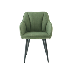 Dining Chair Green W56xd60xh83cm