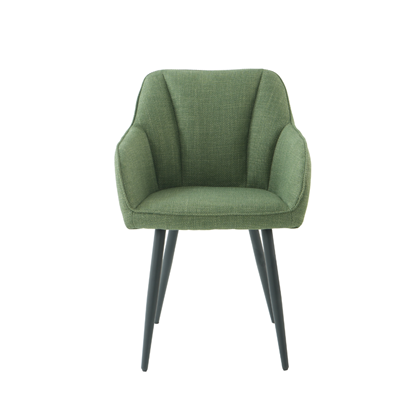 Dinning Chair Green W56xd60xh83cm