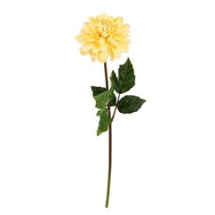 Dahlia Yellow 36Cm
