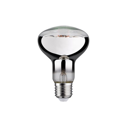 LED Filament Plant Bulb E27 R80 6.5W