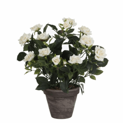 Rose Bush Artificial Plant with White Flowers