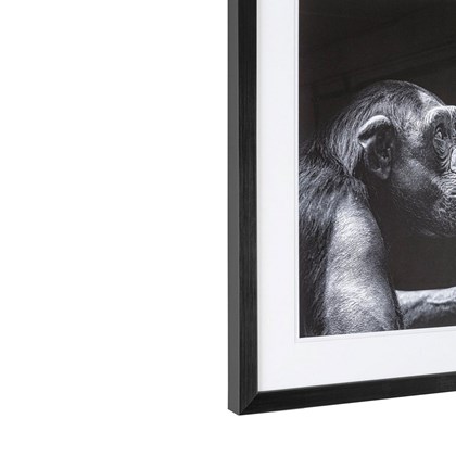 B&W Monkey Painting 49x49