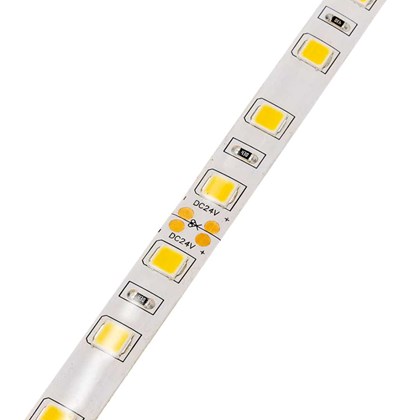 Led Strip  Light  5m 24V 10mm IP65