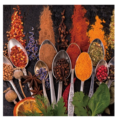 Spoons Spices Fine Art Print on Safety Glass 60X60 cm