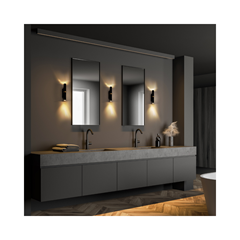 Black and Gold Wall Lamp with Adjustable Spotlight