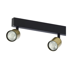 Black & Gold Quad Spotlight