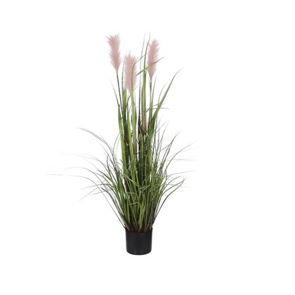 Plume Grass In Pot Pink - H120xd45cm