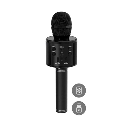 Microphone Bluetooth Speaker – Black