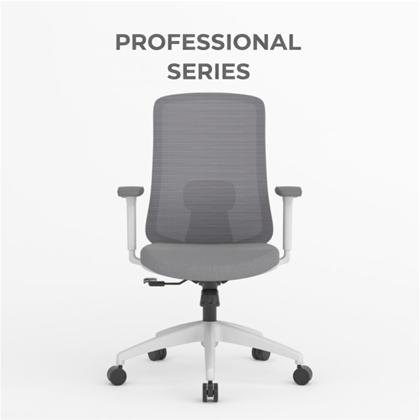 Office Chair Ergonomic Lumbar Support