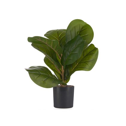 Artificial Plant – Black & Green
