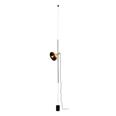 Pendant/Floor Lamp - Satin Gold & Black
