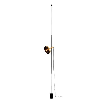 Pendant/Floor Lamp - Satin Gold & Black