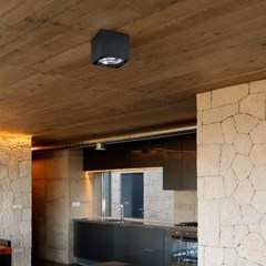 Tecto-1 Black Ceiling Lamp AR111