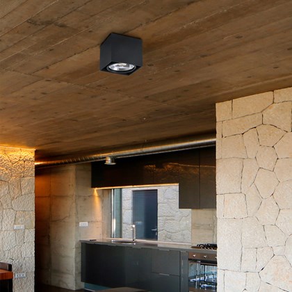 Tecto-1 Black Ceiling Lamp AR111