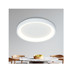 Alexa-C LED Lighting Fixture – White