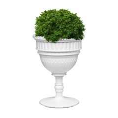 Capitol Planter and Champagne Cooler White