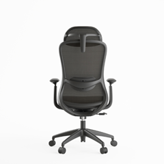 Management Chair with Multitilt Mechanism