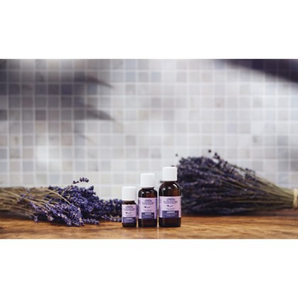 Essential Oil Lavender 10 ml