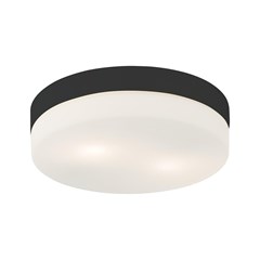 Ceiling Light - Black White