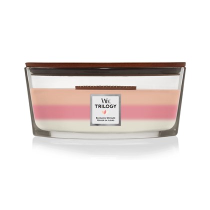 Woodwick Trilogy Blooming Orchard Ellipse Candle