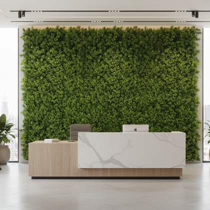 Houttunia Cordata - LD