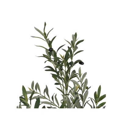 Tree Olive-Tree Green 180cm