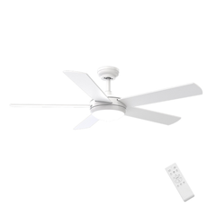 White Ceiling Fan with Light
