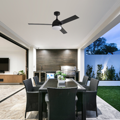 Matte Black Decorative Ceiling Fan