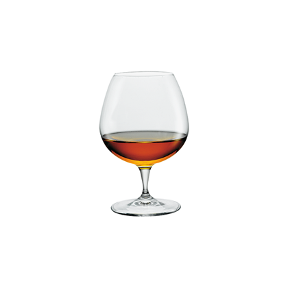 Premium Cognac Glass Set of 6