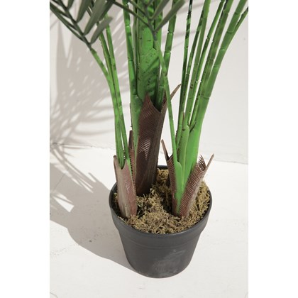 Green Palm Tree in Black Pot - H145cm
