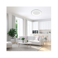 Alexa-C LED Lighting Fixture – White