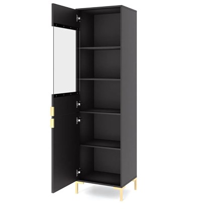 Display Cabinet Matt Black Gold