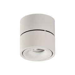 Apex Ceiling Lamp LED 3000K White