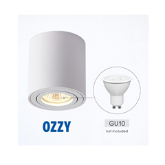 Dow Light for Surface White