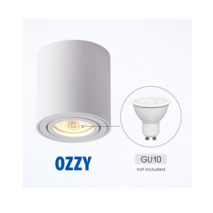 Dow Light for Surface White