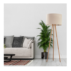 Floor Lamp E27 Black