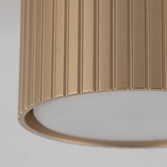 Downlight – Champagne