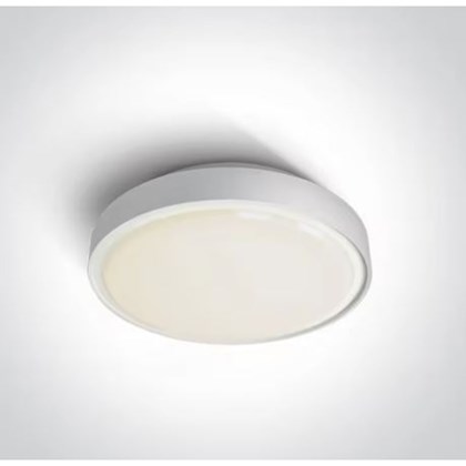 Plastic Celling Light IP65 White