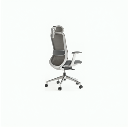 Mesh Office Chair with Adjustable Headrest