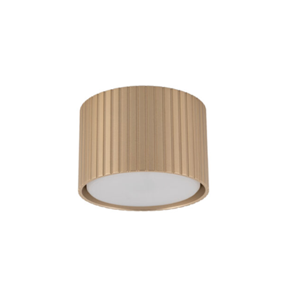 Downlight – Champagne