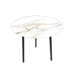 Coffee Table in Tempered Glass and Metal Glass