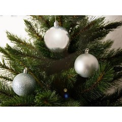Bauble Unbreakable Silver 10 Pieces D6cm