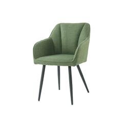 Dining Chair Green W56xd60xh83cm