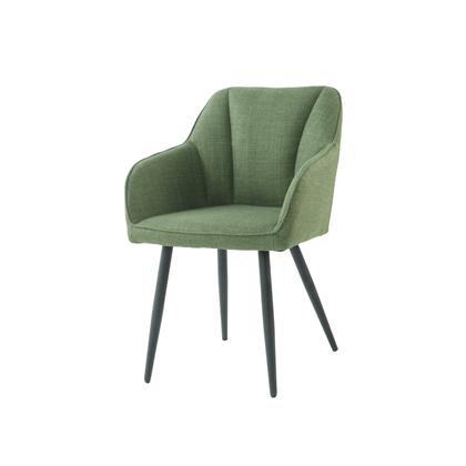 Dinning Chair Green W56xd60xh83cm