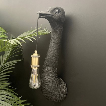 Ostrich Matt Black Wall Lamp