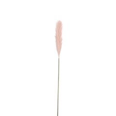 Plume Grass Lilac - L104xd10cm