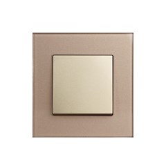 1 Gang Int Switch Gold Temp Glass